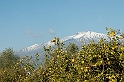 vers l'Etna (1)